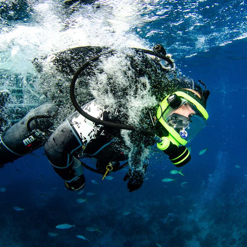 Beginner's Guide to Scuba Diving