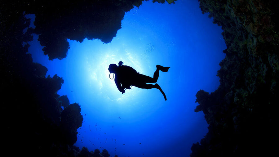 Image of a diver in water