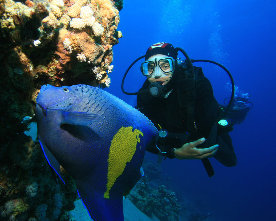 The Essential Pre-Dive Gear Check: Your Complete Scuba Diving Equipment Checklist