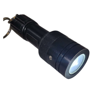 Big Blue CF250 LED Dive Light with Retractor