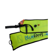 BlueReefDiverBelowSMB