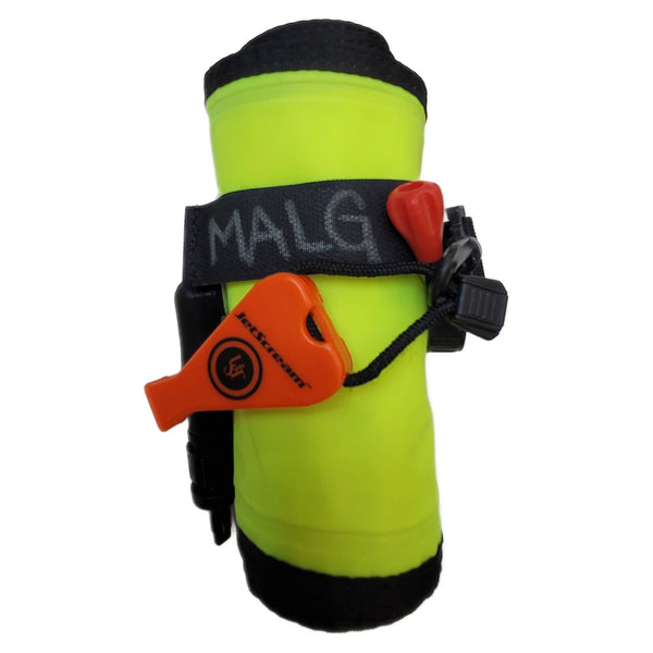 BlueReefDiverBelowSMB