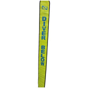 BlueReefDiverBelowSMB