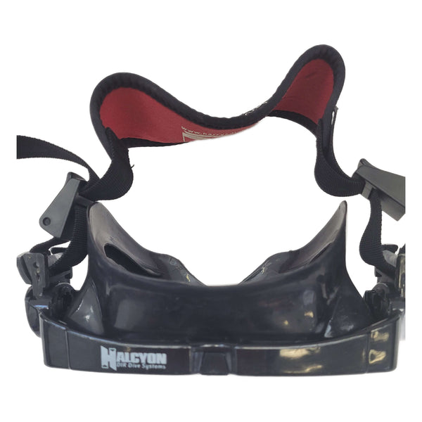 Halcyon Dive Mask and Case