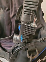 SeaQuest Diva QD BCD