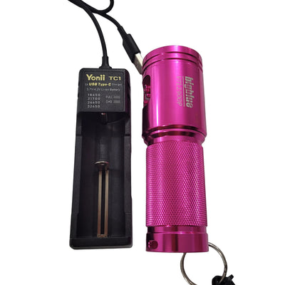 Big Blue VTL2900P LED Dive Light