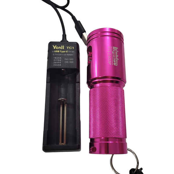 Big Blue VTL2900P LED Dive Light