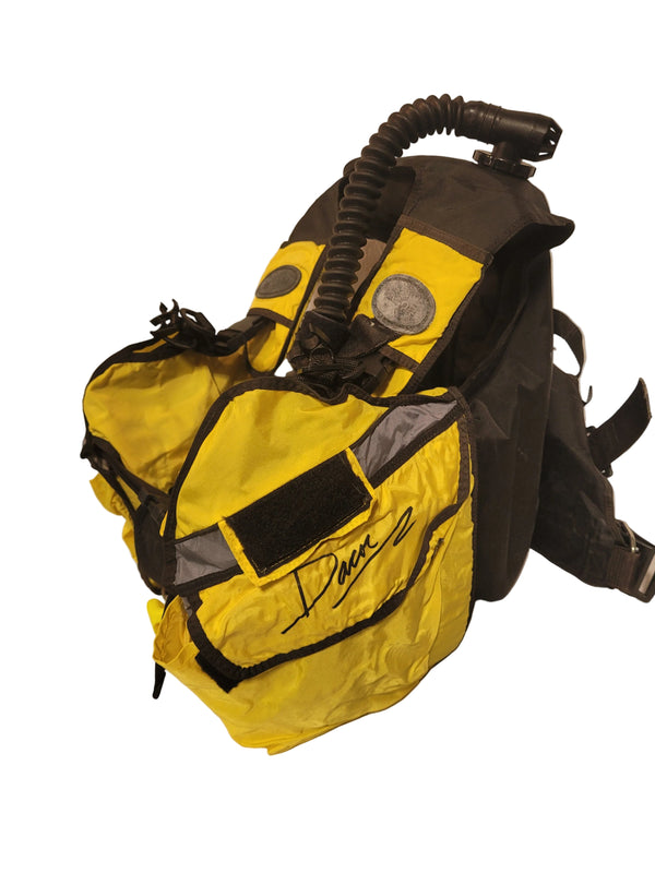 Decor Chameleon BCD
